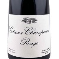 Ambonnay Rouge 2019 Coteaux Champenois - MARGUET