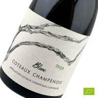 Blanc 2019 Coteaux Champenois - DE SOUSA