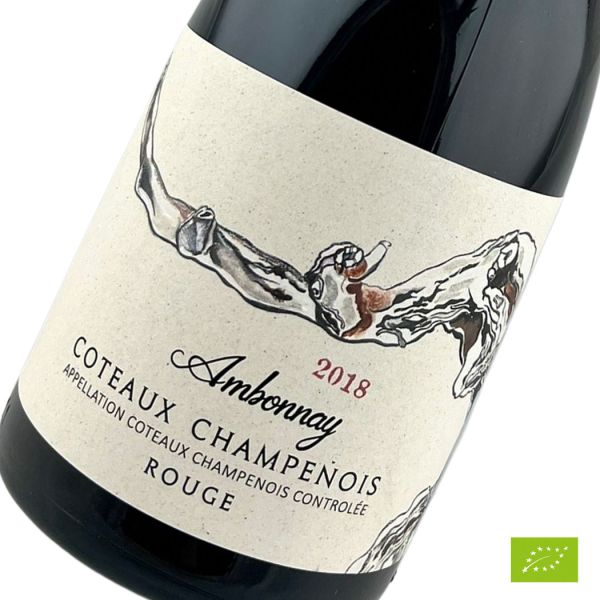 Ambonnay 2018 Coteaux Champenois - DE SOUSA