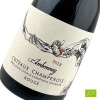 Ambonnay 2018 Coteaux Champenois - DE SOUSA