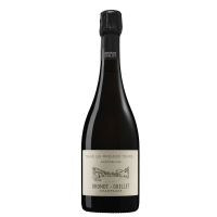Dans un Premier Temps R20 Extra Brut - DHONDT-GRELLET