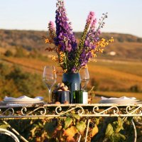 Blumenvase La Très Grande Vigneronne braun - MARSAULT